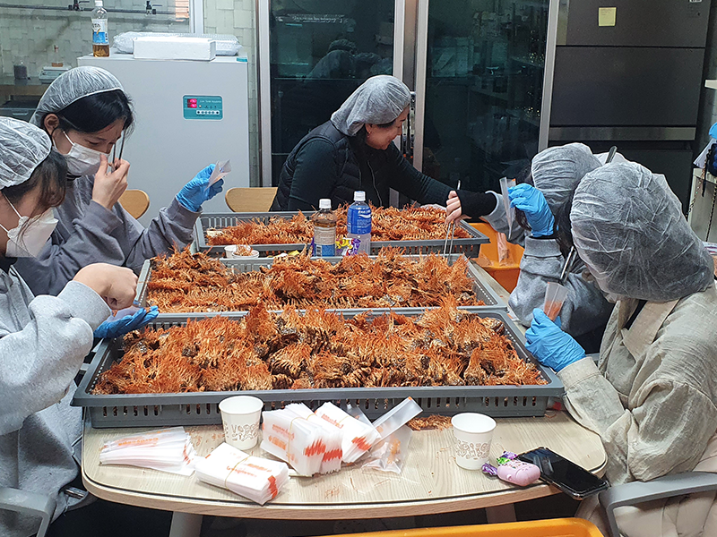 ������ �̹��� 1