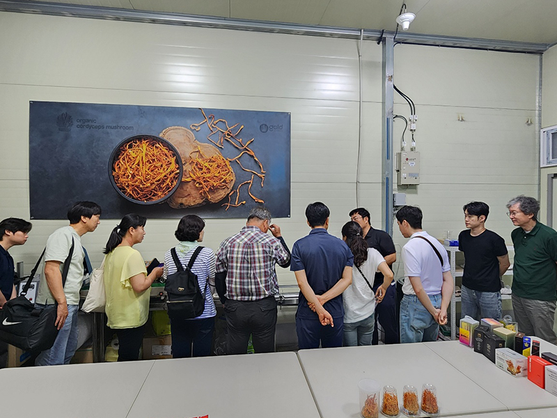 ������ �̹��� 3