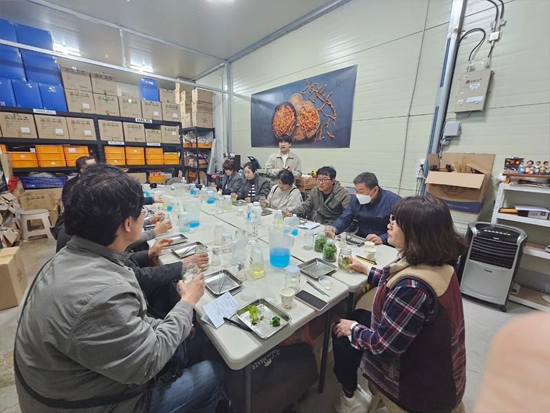 ������ �̹��� 1