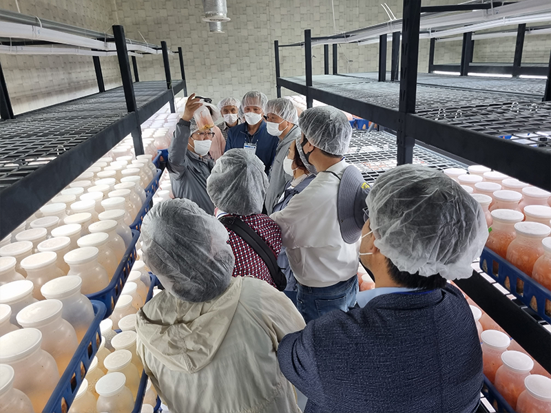 ������ �̹��� 1