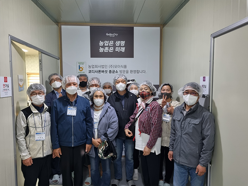 ������ �̹��� 2