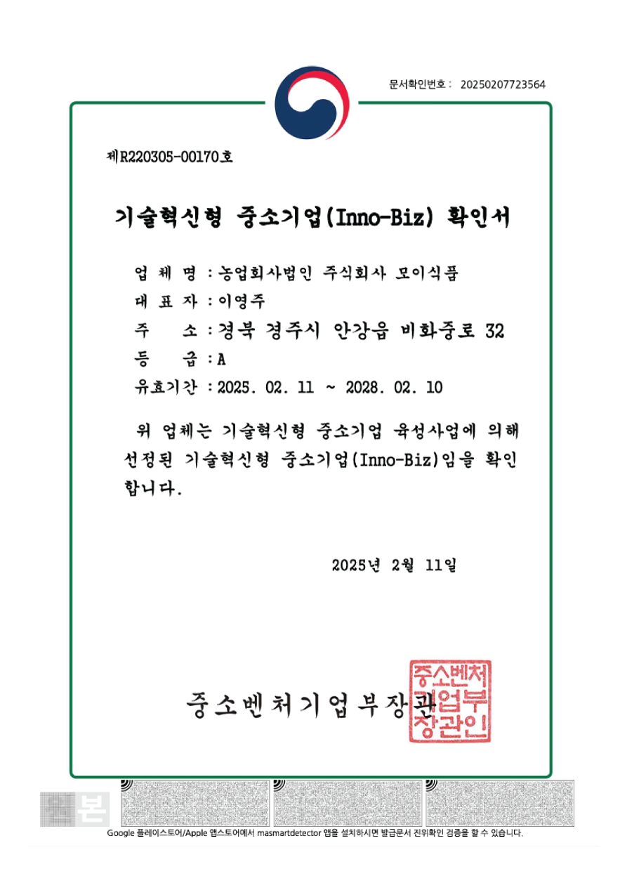 �̳���� ������